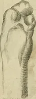 Picture 168 of 265 from Io. Batis. Portae Neap. De humana physiognomia li. VI : in quibus docetur quom[odo] animi propentes naturalibus remediis compesci possint (1602), leaf 150