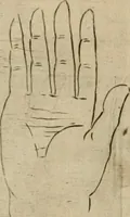 Picture 171 of 265 from Io. Batis. Portae Neap. De humana physiognomia li. VI : in quibus docetur quom[odo] animi propentes naturalibus remediis compesci possint (1602), leaf 153