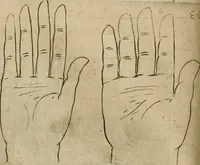 An illustration from Io. Batis. Portae Neap. De humana physiognomia li. VI : in quibus docetur quom[odo] animi propentes naturalibus remediis compesci possint (1602)