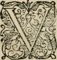 Picture 173 of 265 from Io. Batis. Portae Neap. De humana physiognomia li. VI : in quibus docetur quom[odo] animi propentes naturalibus remediis compesci possint (1602), leaf 153
