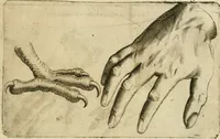 Picture 174 of 265 from Io. Batis. Portae Neap. De humana physiognomia li. VI : in quibus docetur quom[odo] animi propentes naturalibus remediis compesci possint (1602), leaf 154