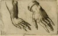 Picture 175 of 265 from Io. Batis. Portae Neap. De humana physiognomia li. VI : in quibus docetur quom[odo] animi propentes naturalibus remediis compesci possint (1602), leaf 155