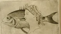 Picture 179 of 265 from Io. Batis. Portae Neap. De humana physiognomia li. VI : in quibus docetur quom[odo] animi propentes naturalibus remediis compesci possint (1602), leaf 157