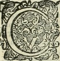 Picture 10 of 265 from Io. Batis. Portae Neap. De humana physiognomia li. VI : in quibus docetur quom[odo] animi propentes naturalibus remediis compesci possint (1602), leaf 16