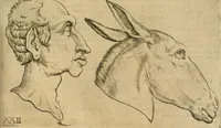 Picture 191 of 265 from Io. Batis. Portae Neap. De humana physiognomia li. VI : in quibus docetur quom[odo] animi propentes naturalibus remediis compesci possint (1602), leaf 166