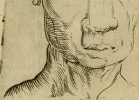 An illustration from Io. Batis. Portae Neap. De humana physiognomia li. VI : in quibus docetur quom[odo] animi propentes naturalibus remediis compesci possint (1602)
