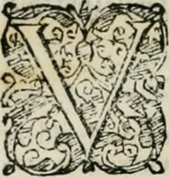 Picture 212 of 265 from Io. Batis. Portae Neap. De humana physiognomia li. VI : in quibus docetur quom[odo] animi propentes naturalibus remediis compesci possint (1602), leaf 207