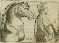 Picture 214 of 265 from Io. Batis. Portae Neap. De humana physiognomia li. VI : in quibus docetur quom[odo] animi propentes naturalibus remediis compesci possint (1602), leaf 211