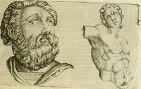 Picture 216 of 265 from Io. Batis. Portae Neap. De humana physiognomia li. VI : in quibus docetur quom[odo] animi propentes naturalibus remediis compesci possint (1602), leaf 214