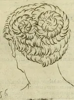 Picture 222 of 265 from Io. Batis. Portae Neap. De humana physiognomia li. VI : in quibus docetur quom[odo] animi propentes naturalibus remediis compesci possint (1602), leaf 228