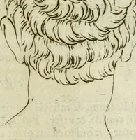 Picture 223 of 265 from Io. Batis. Portae Neap. De humana physiognomia li. VI : in quibus docetur quom[odo] animi propentes naturalibus remediis compesci possint (1602), leaf 228