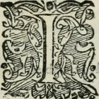 Picture 224 of 265 from Io. Batis. Portae Neap. De humana physiognomia li. VI : in quibus docetur quom[odo] animi propentes naturalibus remediis compesci possint (1602), leaf 233