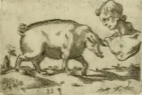 Picture 17 of 265 from Io. Batis. Portae Neap. De humana physiognomia li. VI : in quibus docetur quom[odo] animi propentes naturalibus remediis compesci possint (1602), leaf 24