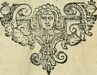 Picture 228 of 265 from Io. Batis. Portae Neap. De humana physiognomia li. VI : in quibus docetur quom[odo] animi propentes naturalibus remediis compesci possint (1602), leaf 242