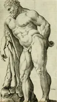 Picture 231 of 265 from Io. Batis. Portae Neap. De humana physiognomia li. VI : in quibus docetur quom[odo] animi propentes naturalibus remediis compesci possint (1602), leaf 246