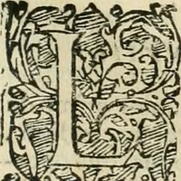 Picture 235 of 265 from Io. Batis. Portae Neap. De humana physiognomia li. VI : in quibus docetur quom[odo] animi propentes naturalibus remediis compesci possint (1602), leaf 250