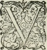 Picture 242 of 265 from Io. Batis. Portae Neap. De humana physiognomia li. VI : in quibus docetur quom[odo] animi propentes naturalibus remediis compesci possint (1602), leaf 261