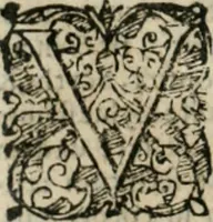 Picture 262 of 265 from Io. Batis. Portae Neap. De humana physiognomia li. VI : in quibus docetur quom[odo] animi propentes naturalibus remediis compesci possint (1602), leaf 285