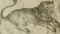 An illustration from Io. Batis. Portae Neap. De humana physiognomia li. VI : in quibus docetur quom[odo] animi propentes naturalibus remediis compesci possint (1602)