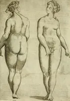 Picture 37 of 265 from Io. Batis. Portae Neap. De humana physiognomia li. VI : in quibus docetur quom[odo] animi propentes naturalibus remediis compesci possint (1602), leaf 40