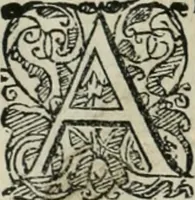 Picture 40 of 265 from Io. Batis. Portae Neap. De humana physiognomia li. VI : in quibus docetur quom[odo] animi propentes naturalibus remediis compesci possint (1602), leaf 43