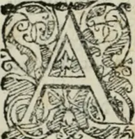 Picture 44 of 265 from Io. Batis. Portae Neap. De humana physiognomia li. VI : in quibus docetur quom[odo] animi propentes naturalibus remediis compesci possint (1602), leaf 47