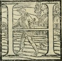 Picture 48 of 265 from Io. Batis. Portae Neap. De humana physiognomia li. VI : in quibus docetur quom[odo] animi propentes naturalibus remediis compesci possint (1602), leaf 49