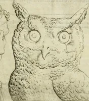Picture 50 of 265 from Io. Batis. Portae Neap. De humana physiognomia li. VI : in quibus docetur quom[odo] animi propentes naturalibus remediis compesci possint (1602), leaf 50