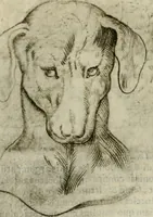 Picture 51 of 265 from Io. Batis. Portae Neap. De humana physiognomia li. VI : in quibus docetur quom[odo] animi propentes naturalibus remediis compesci possint (1602), leaf 51