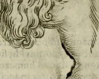 Picture 53 of 265 from Io. Batis. Portae Neap. De humana physiognomia li. VI : in quibus docetur quom[odo] animi propentes naturalibus remediis compesci possint (1602), leaf 51