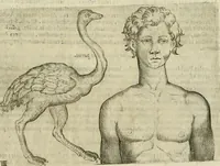 An illustration from Io. Batis. Portae Neap. De humana physiognomia li. VI : in quibus docetur quom[odo] animi propentes naturalibus remediis compesci possint (1602)