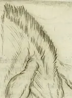 An illustration from Io. Batis. Portae Neap. De humana physiognomia li. VI : in quibus docetur quom[odo] animi propentes naturalibus remediis compesci possint (1602)