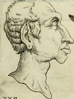 Picture 69 of 265 from Io. Batis. Portae Neap. De humana physiognomia li. VI : in quibus docetur quom[odo] animi propentes naturalibus remediis compesci possint (1602), leaf 62