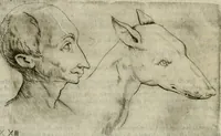 An illustration from Io. Batis. Portae Neap. De humana physiognomia li. VI : in quibus docetur quom[odo] animi propentes naturalibus remediis compesci possint (1602)
