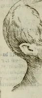 An illustration from Io. Batis. Portae Neap. De humana physiognomia li. VI : in quibus docetur quom[odo] animi propentes naturalibus remediis compesci possint (1602)