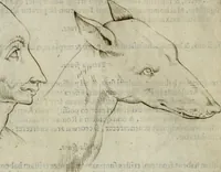 Picture 76 of 265 from Io. Batis. Portae Neap. De humana physiognomia li. VI : in quibus docetur quom[odo] animi propentes naturalibus remediis compesci possint (1602), leaf 67