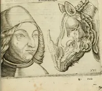 Picture 83 of 265 from Io. Batis. Portae Neap. De humana physiognomia li. VI : in quibus docetur quom[odo] animi propentes naturalibus remediis compesci possint (1602), leaf 74