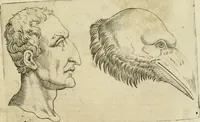 An illustration from Io. Batis. Portae Neap. De humana physiognomia li. VI : in quibus docetur quom[odo] animi propentes naturalibus remediis compesci possint (1602)