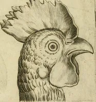 Picture 88 of 265 from Io. Batis. Portae Neap. De humana physiognomia li. VI : in quibus docetur quom[odo] animi propentes naturalibus remediis compesci possint (1602), leaf 78