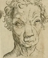 An illustration from Io. Batis. Portae Neap. De humana physiognomia li. VI : in quibus docetur quom[odo] animi propentes naturalibus remediis compesci possint (1602)