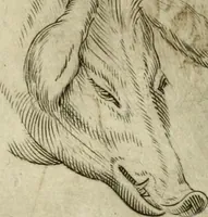 Picture 92 of 265 from Io. Batis. Portae Neap. De humana physiognomia li. VI : in quibus docetur quom[odo] animi propentes naturalibus remediis compesci possint (1602), leaf 80