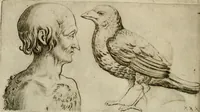 Picture 93 of 265 from Io. Batis. Portae Neap. De humana physiognomia li. VI : in quibus docetur quom[odo] animi propentes naturalibus remediis compesci possint (1602), leaf 81