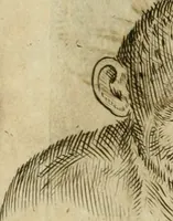 An illustration from Io. Batis. Portae Neap. De humana physiognomia li. VI : in quibus docetur quom[odo] animi propentes naturalibus remediis compesci possint (1602)