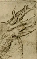 Picture 98 of 265 from Io. Batis. Portae Neap. De humana physiognomia li. VI : in quibus docetur quom[odo] animi propentes naturalibus remediis compesci possint (1602), leaf 83