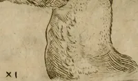 Picture 99 of 265 from Io. Batis. Portae Neap. De humana physiognomia li. VI : in quibus docetur quom[odo] animi propentes naturalibus remediis compesci possint (1602), leaf 83