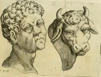 Picture 100 of 265 from Io. Batis. Portae Neap. De humana physiognomia li. VI : in quibus docetur quom[odo] animi propentes naturalibus remediis compesci possint (1602), leaf 84