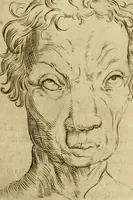 Picture 103 of 265 from Io. Batis. Portae Neap. De humana physiognomia li. VI : in quibus docetur quom[odo] animi propentes naturalibus remediis compesci possint (1602), leaf 88