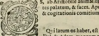 Picture 112 of 265 from Io. Batis. Portae Neap. De humana physiognomia li. VI : in quibus docetur quom[odo] animi propentes naturalibus remediis compesci possint (1602), leaf 97