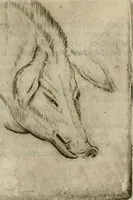 Picture 114 of 265 from Io. Batis. Portae Neap. De humana physiognomia li. VI : in quibus docetur quom[odo] animi propentes naturalibus remediis compesci possint (1602), leaf 97