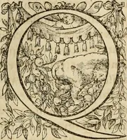 Picture 8 of 20 from Io. Bodini Andegavensis De republica libri sex (1586), leaf 185